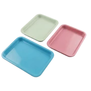 Tavă, nedividată, autoclavabilă, din plastic, 34x25x2 cm1 buc